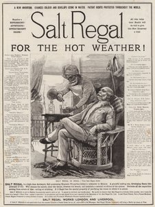 Advertisement, Salt Regal by English School